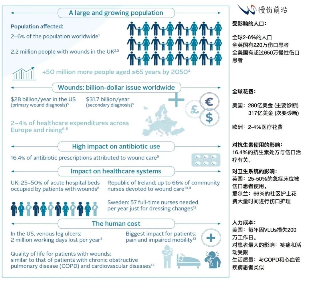 生物膜有哪些