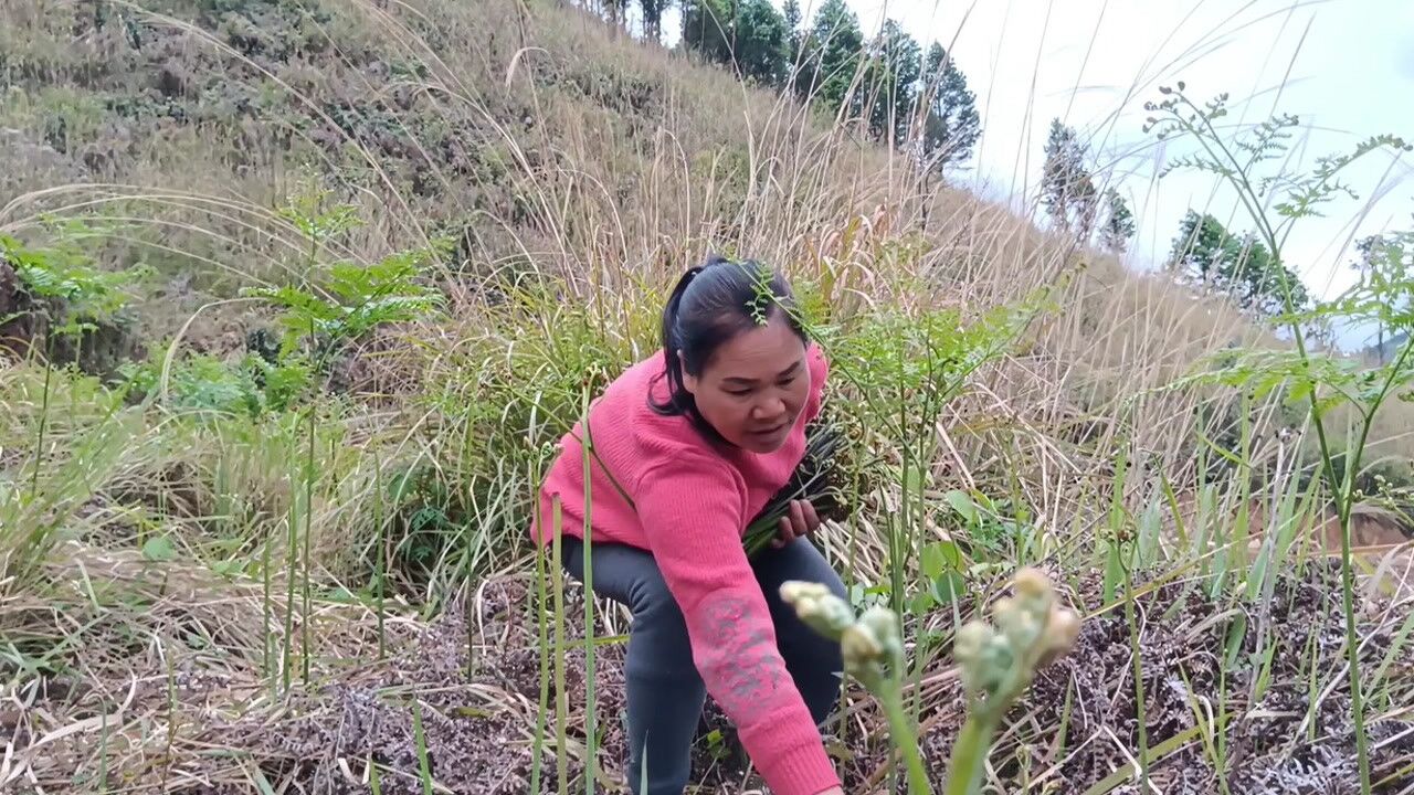 蕨菜如何做